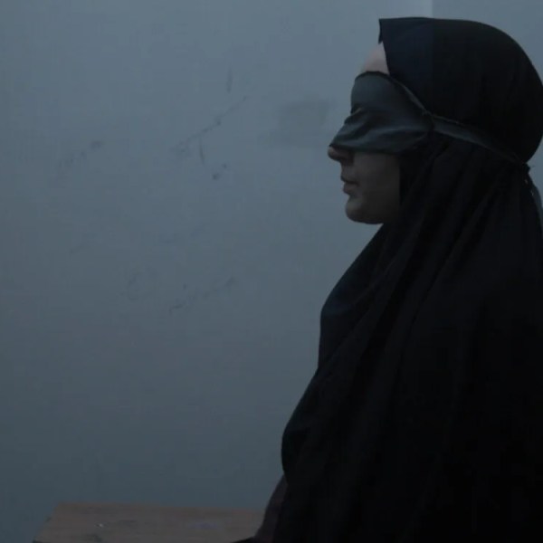 Les Graines du figuier&nbsp;sauvage